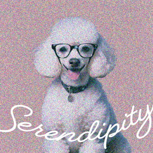 Kl v[h Ί  킢 ZfBseB NbVJo[ 45×45cm Aj}  NbV{̕t ` t@