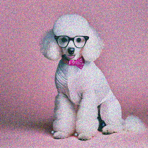 Kl v[h sN̒lN^C sN̔wi NbVJo[ 45×45cm Aj}   NbV{̕t ` t@