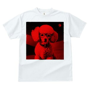 TVc Y LbY t@  t  vg JWA 킢 lԗp tBbglX _X Kl v[h    