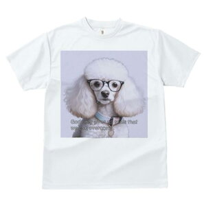 T�V���c �����Y �L�b�Y ���t�@�� ���� �t�� ���� �v�����g �J�W���A�� ���킢�� �l�ԗp �t�B�b�g�l�X �_���X ���K�l �v�[�h�� �l�b�N���X �Z���t