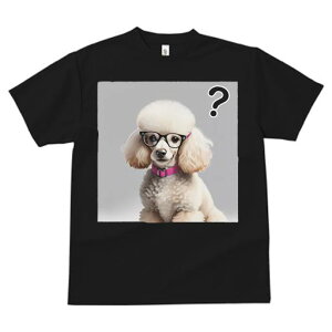 TVc Y LbY t@  t  vg JWA 킢 lԗp tBbglX _X Kl v[h  NGX`}[N