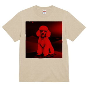 TVc Y LbY t@  t  vg JWA 킢 lԗp tBbglX _X Ԃ v[h Kl