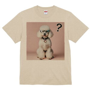 TVc Y LbY t@  t  vg JWA 킢 lԗp tBbglX _X ዾ v[h n[g̃y_g sN̔wi ^╄ }[N