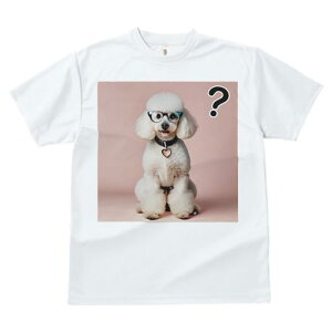 T�V���c �����Y �L�b�Y ���t�@�� ���� �t�� ���� �v�����g �J�W���A�� ���킢�� �l�ԗp �t�B�b�g�l�X �_���X �ዾ �v�[�h�� �n�[�g�̃y���_���g �s���N�̔w�i �^�╄ ����}�[�N