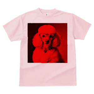 TVc Y LbY t@  t  vg JWA 킢 lԗp tBbglX _X Kl v[h n[g`[ 