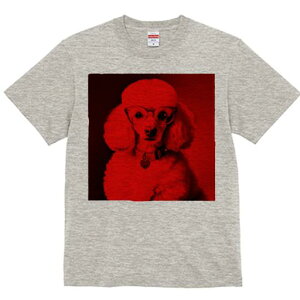 TVc Y LbY t@  t  vg JWA 킢 lԗp tBbglX _X Kl v[h n[g`[ 