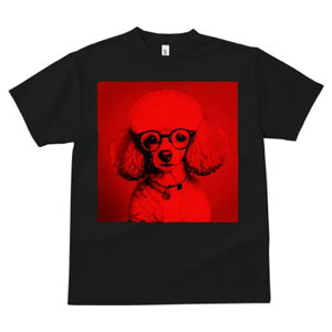 TVc Y LbY t@  t  vg JWA 킢 lԗp tBbglX _X Kl v[h Ԃwi 