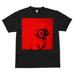 TVc Y LbY t@  t  vg JWA 킢 lԗp tBbglX _X Kl v[h Z[^[