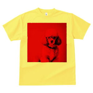 TVc Y LbY t@  t  vg JWA 킢 lԗp tBbglX _X Kl v[h Z[^[