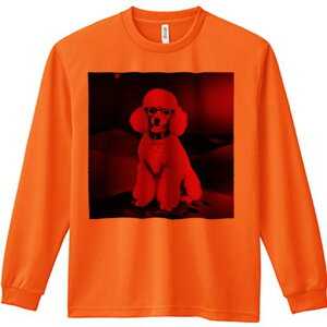 TVc lԗp Y Ht vg W[ AEghA JWA 킢 t@ Ԃ v[h Kl