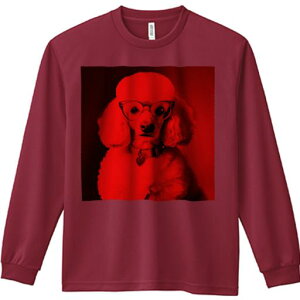 TVc lԗp Y Ht vg W[ AEghA JWA 킢 t@ Kl v[h n[g`[ 