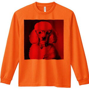 TVc lԗp Y Ht vg W[ AEghA JWA 킢 t@ Kl v[h n[g`[ 