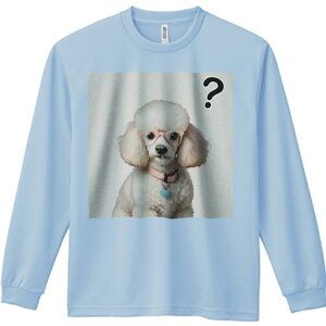 TVc lԗp Y Ht vg W[ AEghA JWA 킢 t@ Kl v[h  n[g ^╄