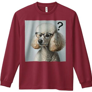 TVc lԗp Y Ht vg W[ AEghA JWA 킢 t@ Kl v[h NGX`}[N