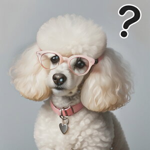 Kl v[h n[g^̎ nei}[N NbVJo[ 45×45cm Aj}   NbV{̕t ` t@