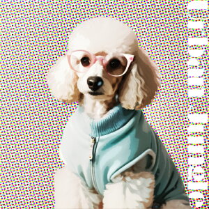 Kl v[h ΐF̕ |bvA[g NbVJo[ 45×45cm Aj}   NbV{̕t ` t@