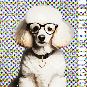 Kl v[h n[g̎ NbVJo[ 45×45cm Aj}   NbV{̕t ` t@