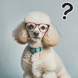 メガネ プードル クエスチョンマーク ターコイズの首輪 クッションカバー 45×45cm アニマル柄 おしゃれ 可愛い クッション本体付き 正方形 犬ファン