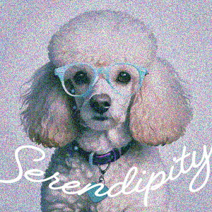 ዾ v[h ZfBseB  t@bV NbVJo[ 45×45cm Aj}  NbV{̕t ` t@