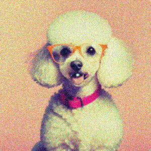 sN v[h Kl wi NbVJo[ 45×45cm Aj}   NbV{̕t ` t@