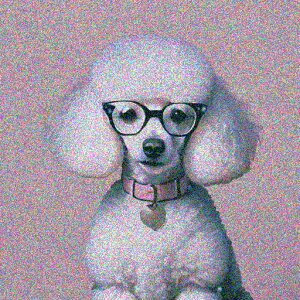 ዾ v[h  NbVJo[ 45×45cm Aj}   NbV{̕t ` t@