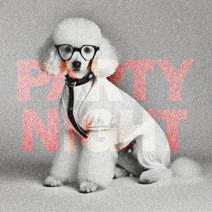 ዾ v[h RX`[ ʐ^ p[eB[ j[N NbVJo[ 45×45cm Aj}   NbV{̕t ` t@