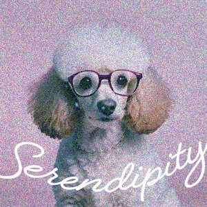 Kl v[h ZfBseB NbVJo[ 45×45cm Aj}   NbV{̕t ` t@