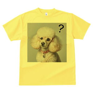 TVc Y LbY t@  t  vg JWA 킢 lԗp tBbglX _X Kl v[h n[g^̎ nei}[N