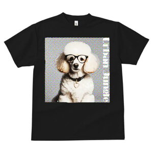 TVc Y LbY t@  t  vg JWA 킢 lԗp tBbglX _X Kl v[h n[g̎