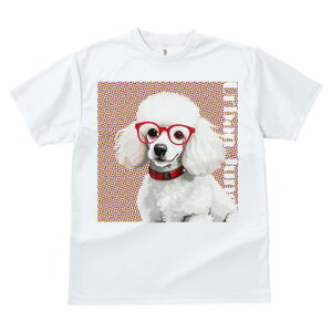 TVc Y LbY t@  t  vg JWA 킢 lԗp tBbglX _X Kl v[h Ԃ JtȔwi