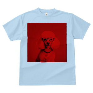 TVc Y LbY t@  t  vg JWA 킢 lԗp tBbglX _X Kl v[h n[g̃y_g