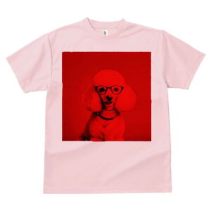 TVc Y LbY t@  t  vg JWA 킢 lԗp tBbglX _X Kl v[h n[g̃y_g