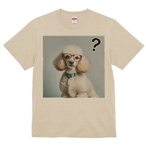 T�V���c �����Y �L�b�Y ���t�@�� ���� �t�� ���� �v�����g �J�W���A�� ���킢�� �l�ԗp �t�B�b�g�l�X �_���X ���K�l �v�[�h�� �N�G�X�`�����}�[�N �^�[�R�C�Y�̎��