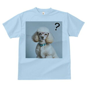 TVc Y LbY t@  t  vg JWA 킢 lԗp tBbglX _X Kl v[h NGX`}[N ^[RCY̎