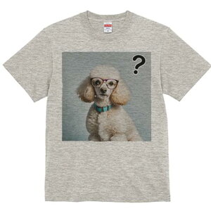 TVc Y LbY t@  t  vg JWA 킢 lԗp tBbglX _X Kl v[h NGX`}[N ^[RCY̎