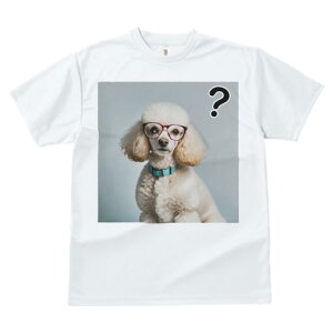 TVc Y LbY t@  t  vg JWA 킢 lԗp tBbglX _X Kl v[h NGX`}[N ^[RCY̎