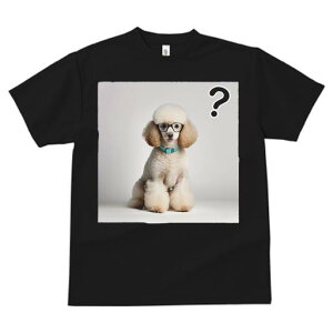 TVc Y LbY t@  t  vg JWA 킢 lԗp tBbglX _X ዾ v[h  NGX`}[N