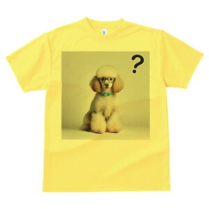 TVc Y LbY t@  t  vg JWA 킢 lԗp tBbglX _X ዾ v[h  NGX`}[N