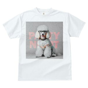 TVc Y LbY t@  t  vg JWA 킢 lԗp tBbglX _X p[eB[ v[h Kl j[N 