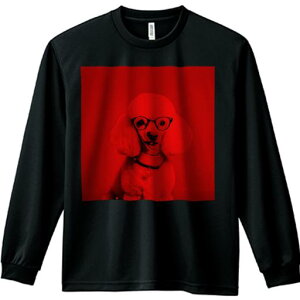 TVc lԗp Y Ht vg W[ AEghA JWA 킢 t@ Kl v[h n[g̃y_g