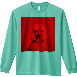 TVc lԗp Y Ht vg W[ AEghA JWA 킢 t@ Kl v[h n[g̃y_g