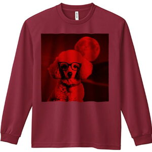 TVc lԗp Y Ht vg W[ AEghA JWA 킢 t@  v[h Kl