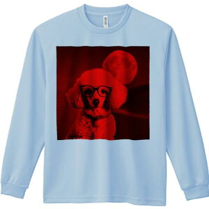 TVc lԗp Y Ht vg W[ AEghA JWA 킢 t@  v[h Kl