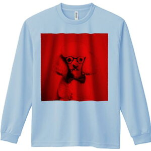 TVc lԗp Y Ht vg W[ AEghA JWA 킢 t@ Kl v[h lN^C  