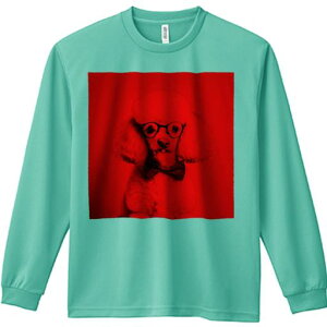 TVc lԗp Y Ht vg W[ AEghA JWA 킢 t@ Kl v[h lN^C  