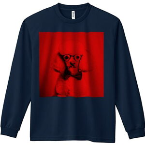 TVc lԗp Y Ht vg W[ AEghA JWA 킢 t@ Kl v[h lN^C  