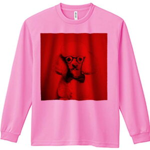 TVc lԗp Y Ht vg W[ AEghA JWA 킢 t@ Kl v[h lN^C  