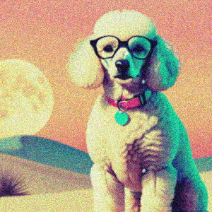 Kl v[h    NbVJo[ 45×45cm Aj}   NbV{̕t ` t@