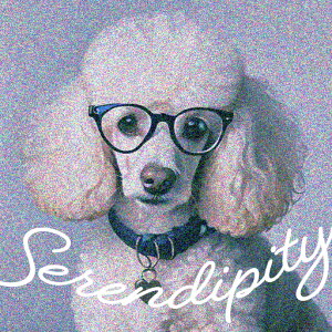 Kl v[h ZfBseB  NbVJo[ 45×45cm Aj}   NbV{̕t ` t@