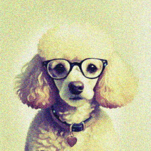 Kl v[h 킢  NbVJo[ 45×45cm Aj}   NbV{̕t ` t@